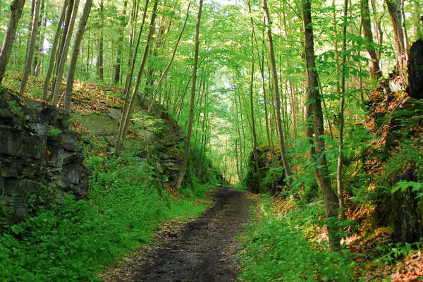 Kittatiny State Park, Sussex