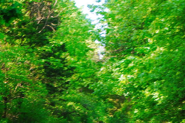 Kittatiny State Park, Sussex