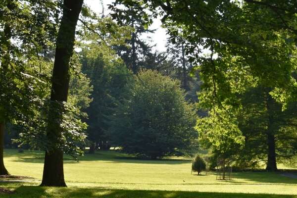 Marquand Park