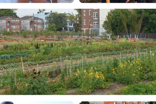 Greater Newark Conservancy