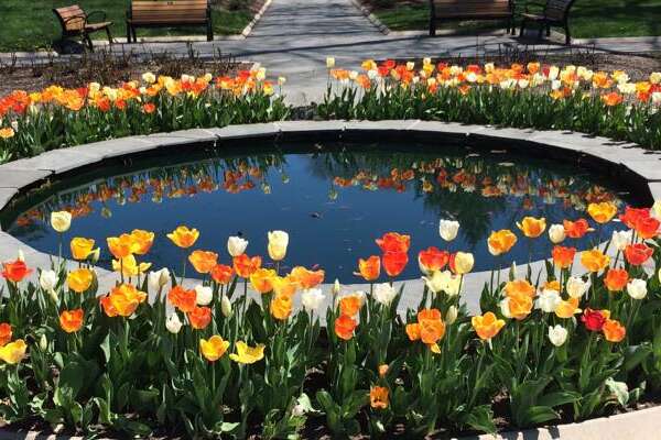 Colonial Park Gardens