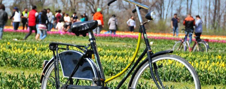 (Closed for the Season) Don't Drive To Holland - Drive to Holland Ridge Farms!