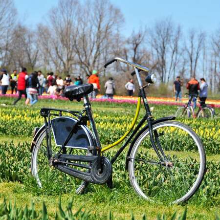 (Closed for the Season) Don't Drive To Holland - Drive to Holland Ridge Farms!