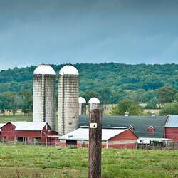 Readington River Buffalo Farm