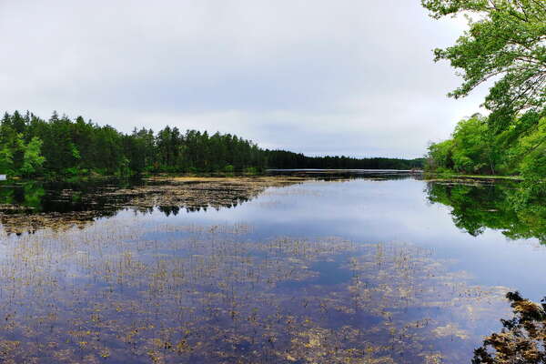 Wells Mills County Park