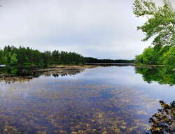 Wells Mills County Park