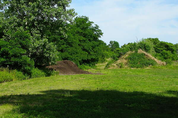 Paddling off Bayshore Waterfront Park on Rarriton Bay with Rob

More Info: http://gonj.me/35352h