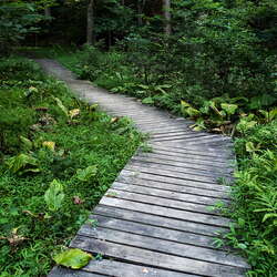 Hiking Holmdel Park, with a stop into Longstreet and the Shaw Arboretum - 07/21/2018