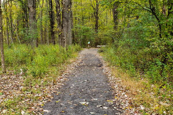 Fall HIking in Lord Sitrling Park