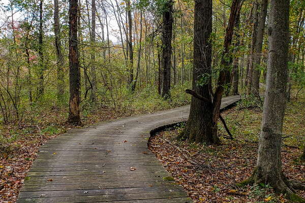 Fall HIking in Lord Sitrling Park