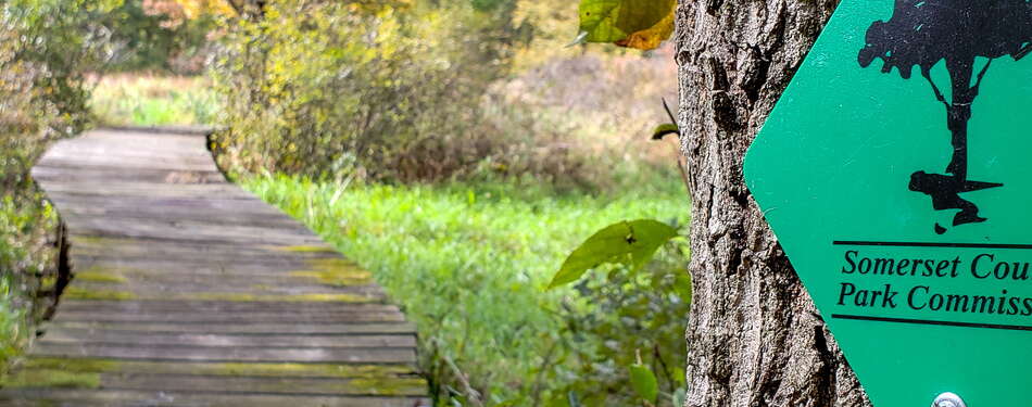 A fall hike through Lord Stirling Park (w/Boondock Boardwalk)