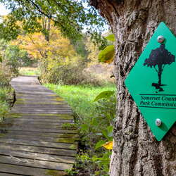 A fall hike through Lord Stirling Park (w/Boondock Boardwalk)