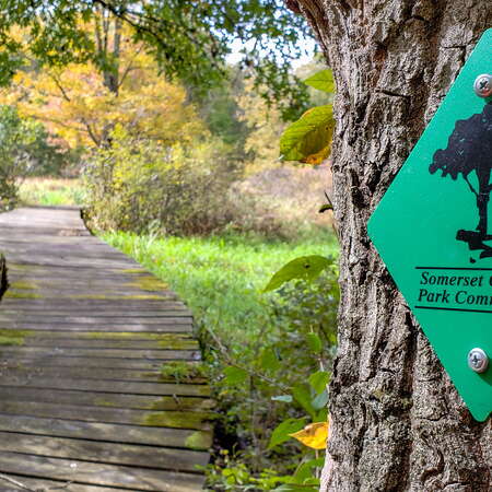 A fall hike through Lord Stirling Park (w/Boondock Boardwalk)