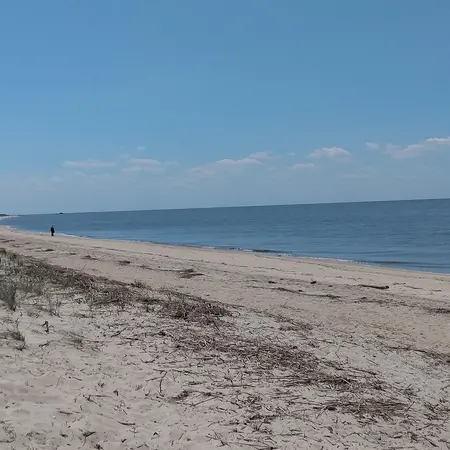Higbee Beach Wildlife Management Area