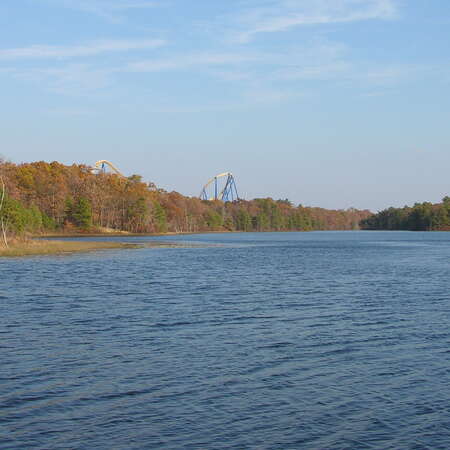Prospertown Wildlife Management Area