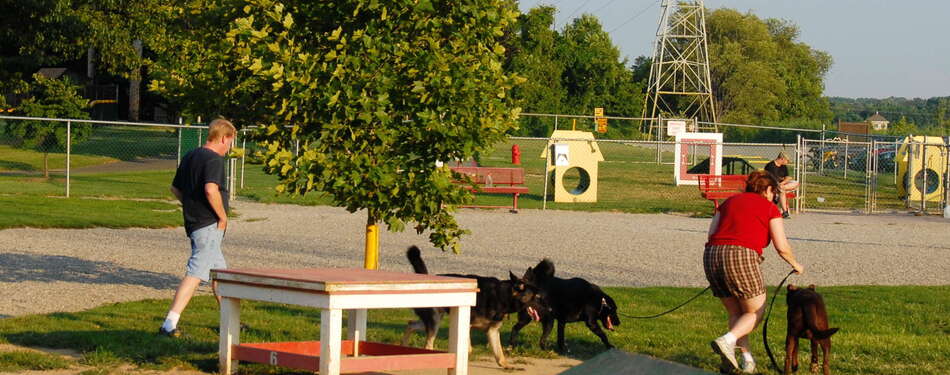 Reminder: Keep your pups on a leash, or visit a dog park