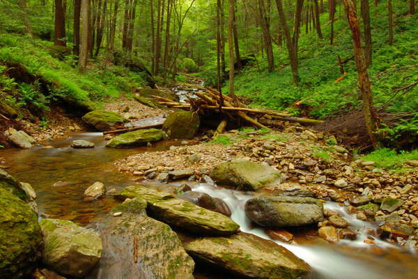 Dunnfield Creek