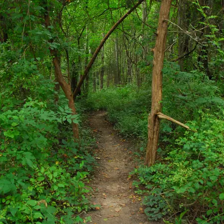 Ceres Park Nature Preserve