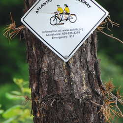 Photos Of: Atlantic County Bikeway - 06/26/2009