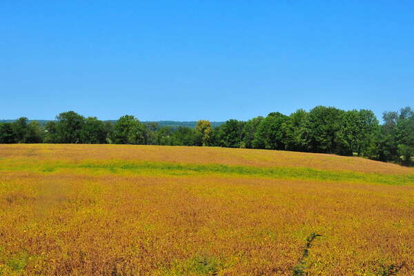 Scenic ride on the Black River and Western Railroad