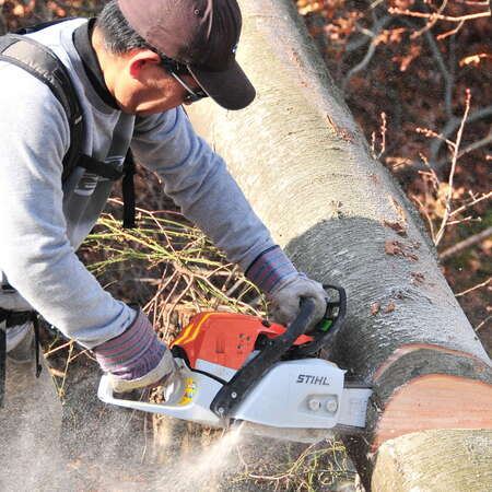 Trail Work in Mercer CP - Sandy Cleanup - 11/18/2012