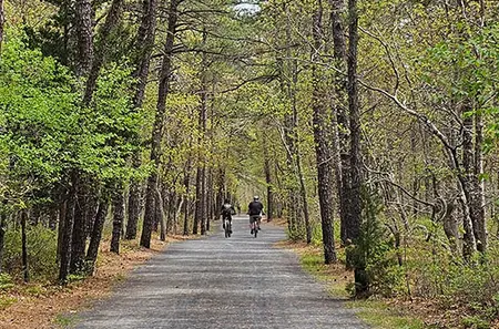 Barnegat Branch Trail