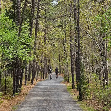 Barnegat Branch Trail