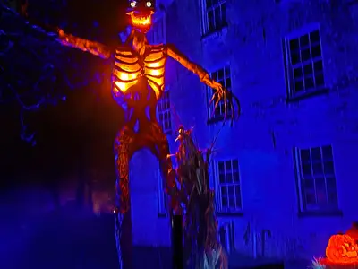 Field of Terror
