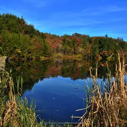 Echo Lake/Alfred C. Sauer Park