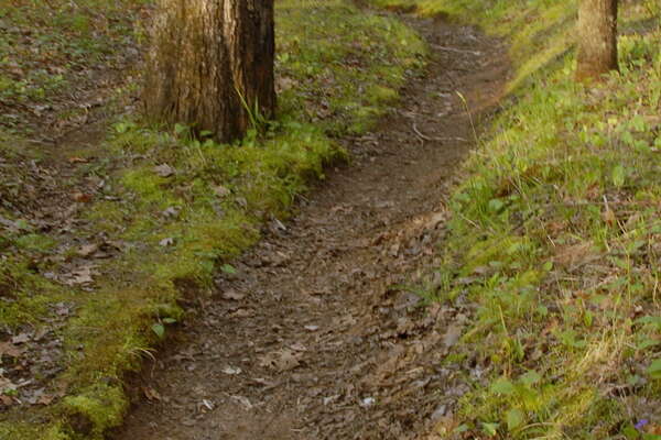 Nice trails throughout the park