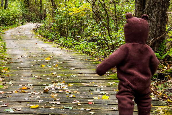 Fall HIking in Lord Sitrling Park