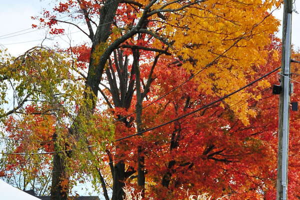 Snyders Farm Fall Festival - 2015