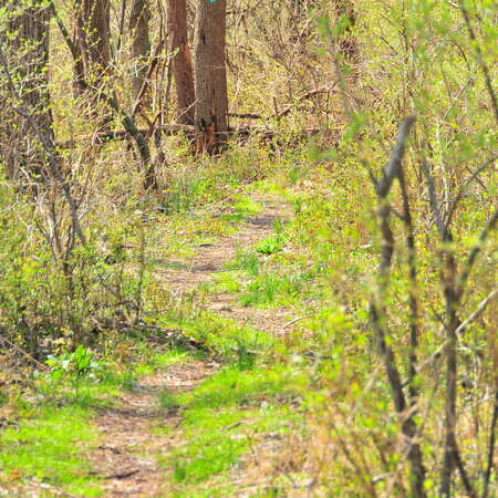 A Springtime Hike at Spruce Run ~2010