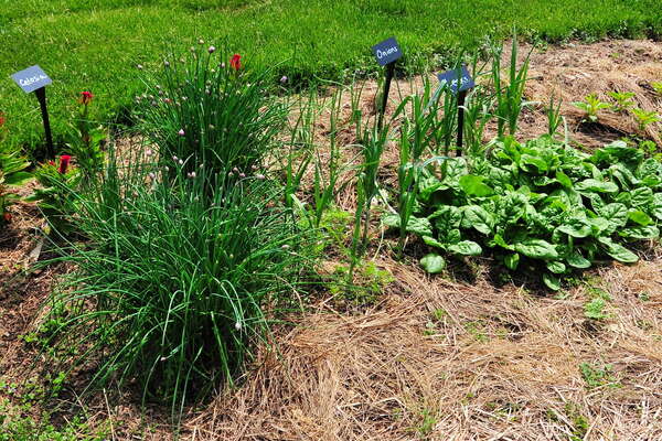 Morven Museum & Garden