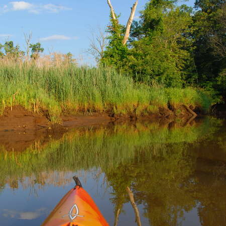 Paddling the Manasquan River Wildelife Management Area - 06/24/2008