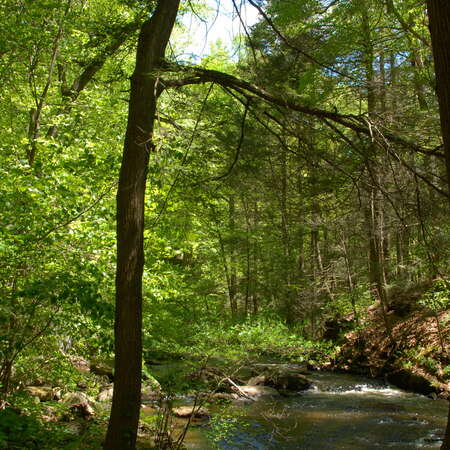Featured Place: Hacklebarney State Park