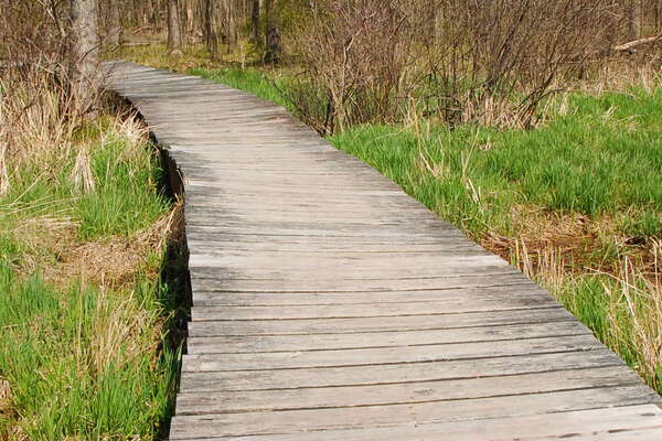 Trails in Lord Stirling Park