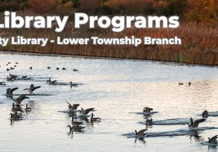 Winter Waterfowl Walk at Cape May Point