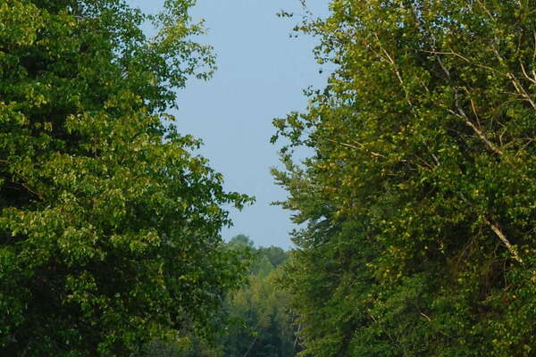 Turkey Swamp Park