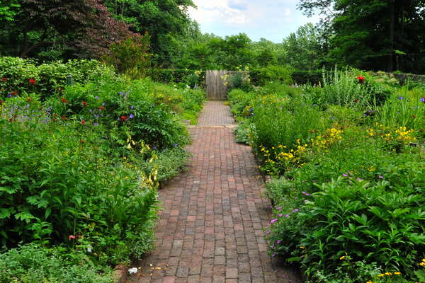Cross Estate Gardens, 2018