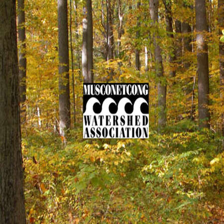 Musconetcong Watershed Association