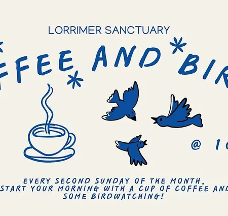 Coffee and Birds at Lorrimer Sanctuary