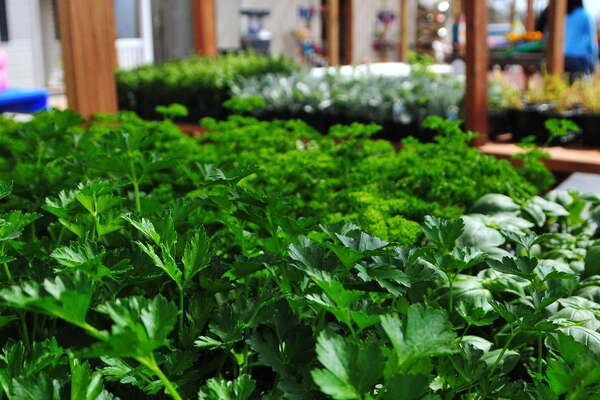 Oasis Family Farm, Easter Egg Hunt Weekend