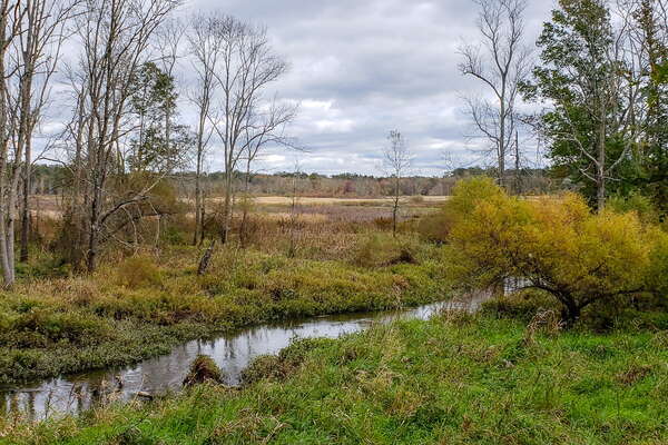 Fall HIking in Lord Sitrling Park