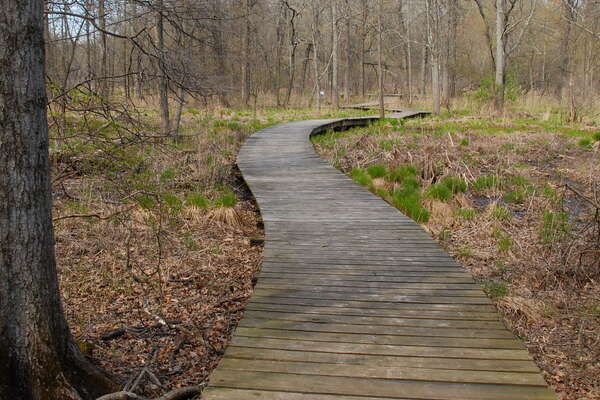 Trails in Lord Stirling Park