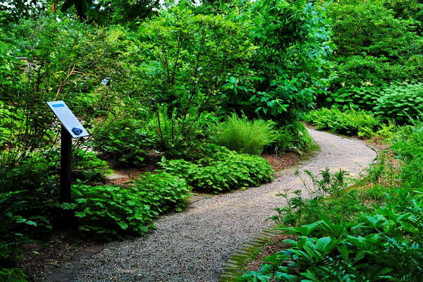 Frelinghuysen Arboretum - June 16th 2014