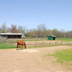 Lord Stirling Stable