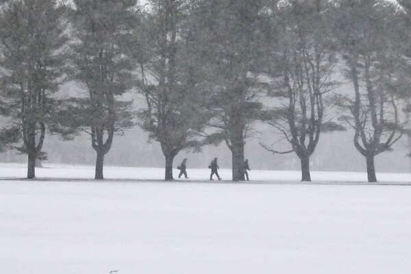 Ice Bowl of Ocean County Park DG Course