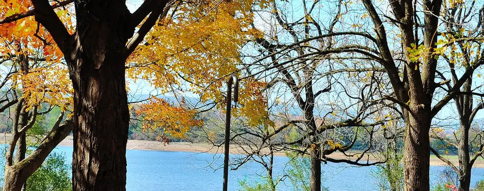 NJ Fall Colors This Weekend: Peak Up North, Just Starting Down South (Oct 16)