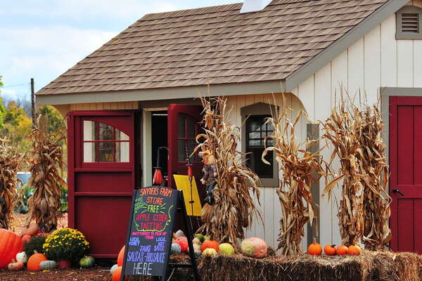 Snyders Farm Fall Festival - 2015